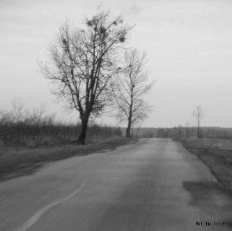 m1.jpg