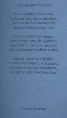 wierzba.JPG
